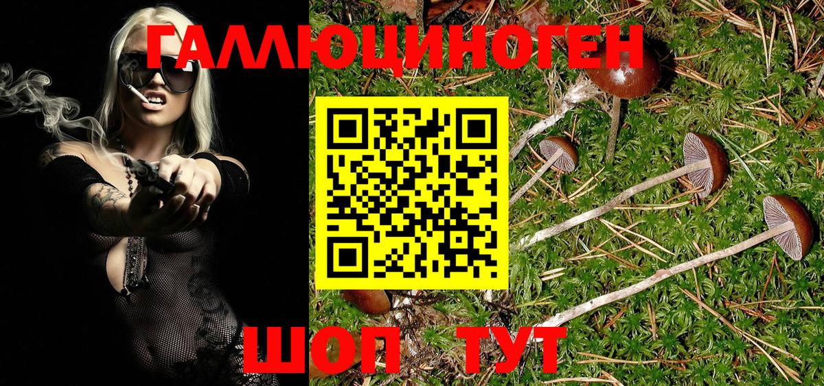 Партизанск  Псилоцибиновые грибы MAGIC MUSHROOMS  Вход с VPN 