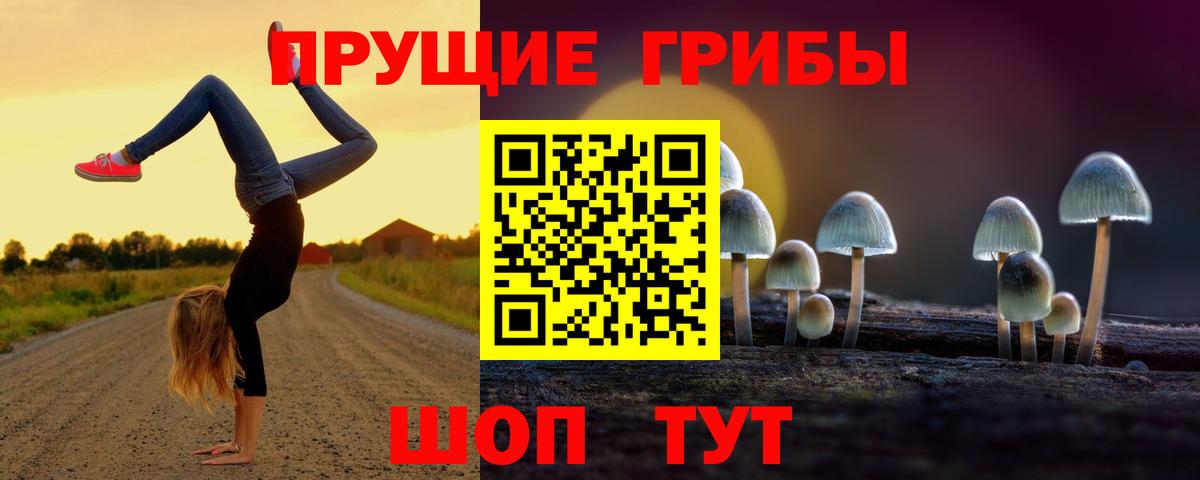 Галлюциногенные грибы ЛСД Партизанск