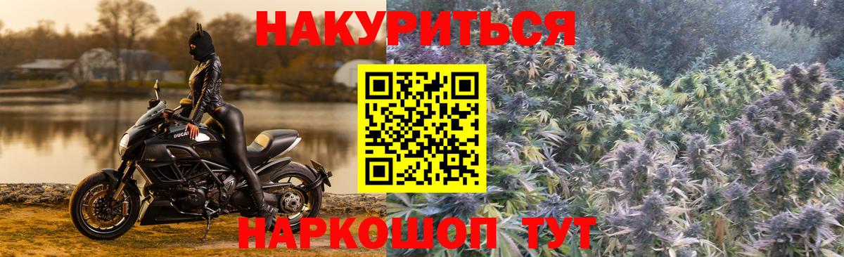 Бошки Шишки семена Партизанск